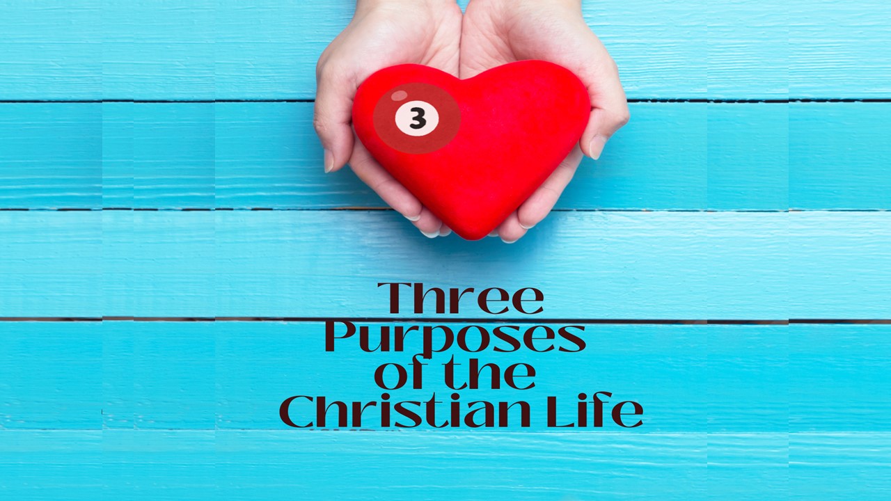 THREE PURPOSES OF THE CHRISTIAN LIFE